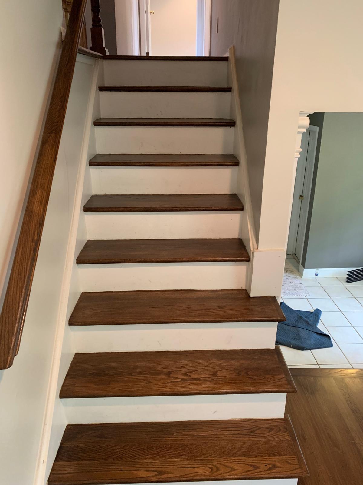 Proyecto de remodelación 83